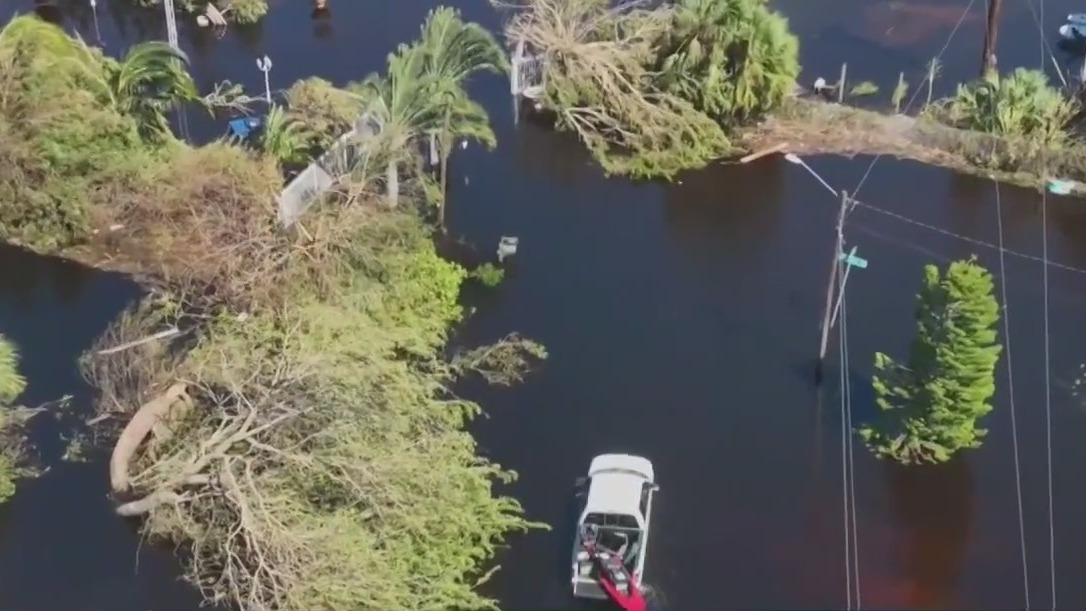 Invasive species spread after hurricanes